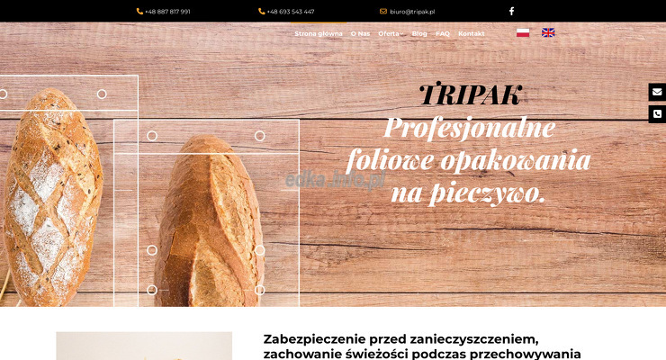 tripak-s-c-marcin-i-lukasz-brajer wygląd strony