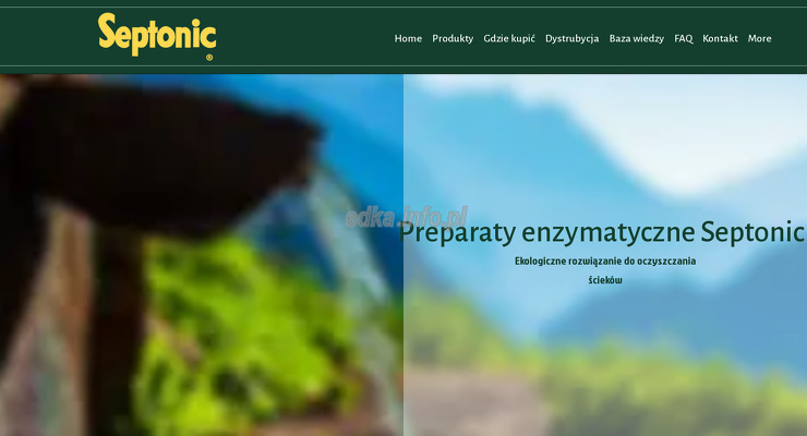 migor-biuro-handlowe wygląd strony