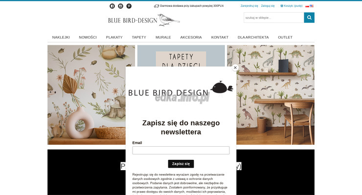 bluebird-design wygląd strony