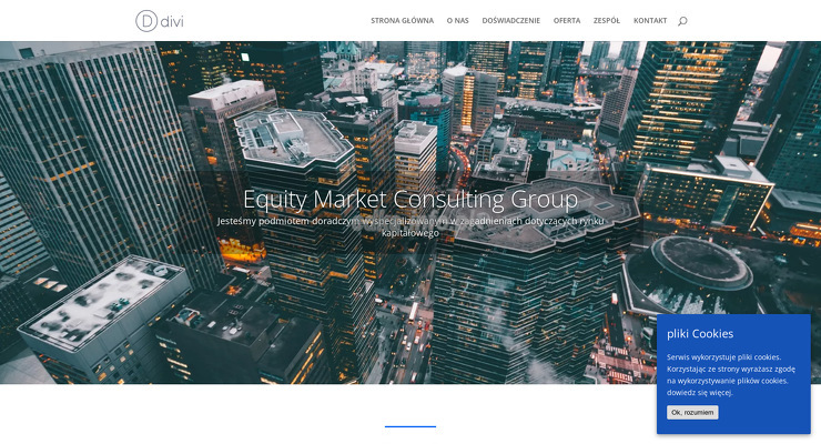 eouity-market-consulting-group-sp-z-o-o wygląd strony